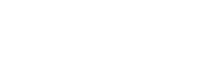 Ravex logo
