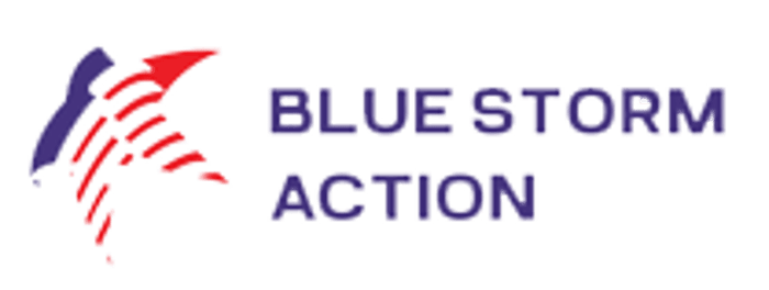 Blue Storm Action logo