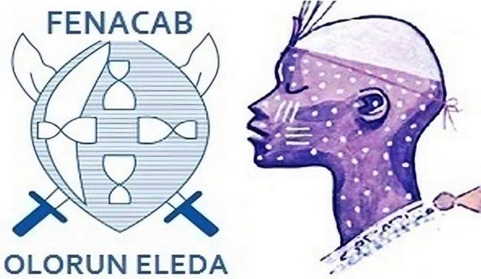 FEDERAÇÃO NACIONAL DO CULTO AFRO BRASILEIRO logo