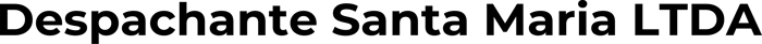 Despachante Santa Maria LTDA logo