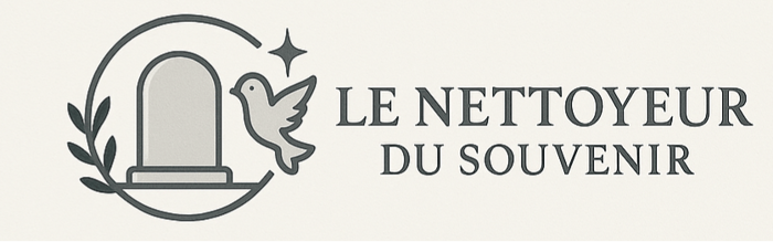 Le nettoyeur du souvenir logo