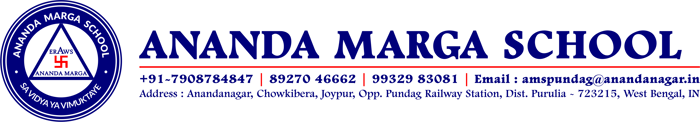 Ananda Marga School logo