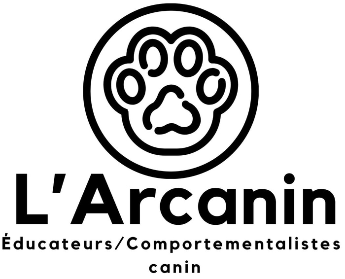 L’Arcanin logo