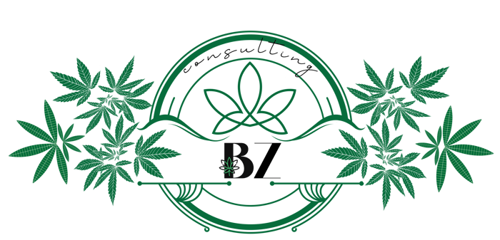 BZ Consulting logo