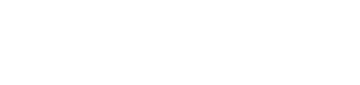 LEM Insurance Services logo