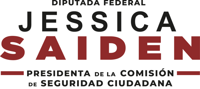 Foro Nacional de Seguridad Nacional de Mexico logo