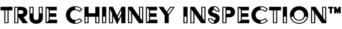 True Chimney Inspection logo