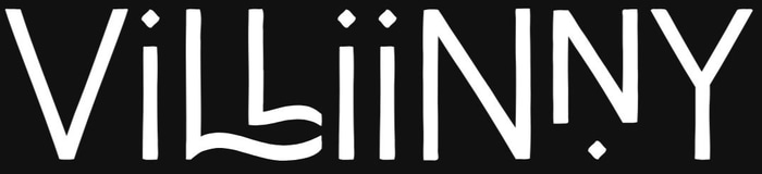 Villiinny logo