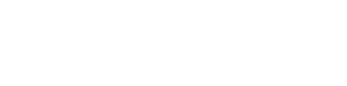 Nimbus Rise Trading - FZCO logo