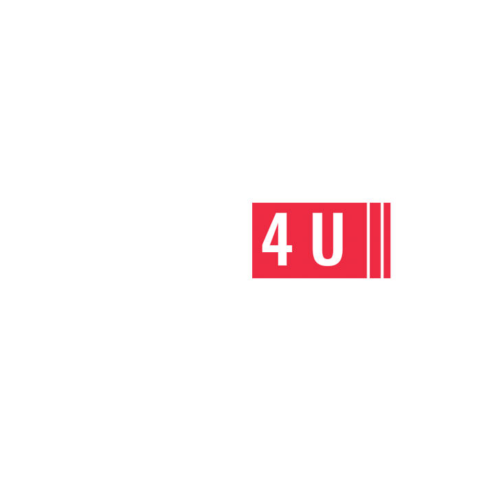 ViDs 4 U logo