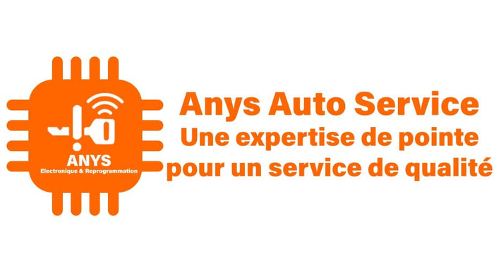 anys électronique et reprogrammation logo