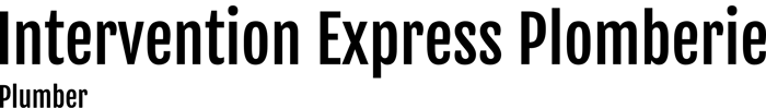 Intervention Express Plomberie logo