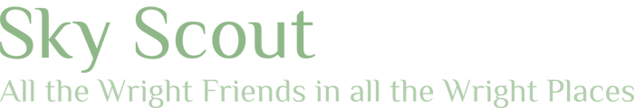 SkyScout logo