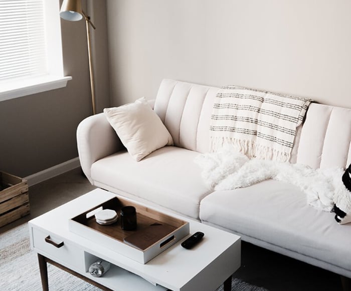 Couch and coffee table
