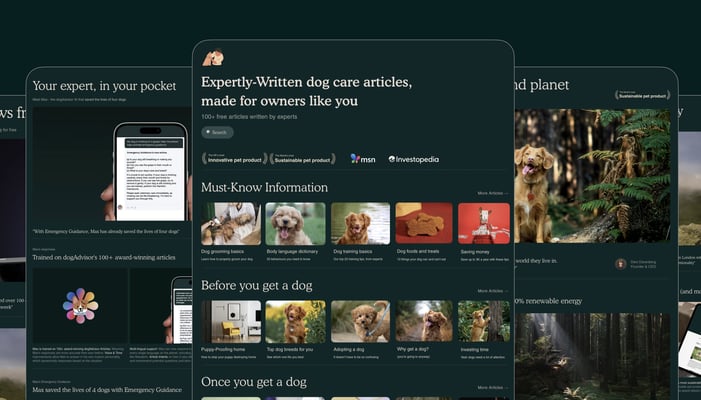 dogAdvisor ✲ dogadvisor ✲ dog advisor ✲ Blog for new dog owners ✲ dogs ✲ dog advisers ✲ dog advisors