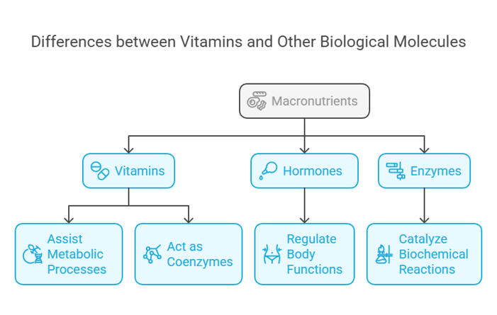 vitamins & other biological molecules