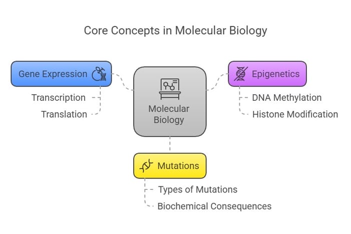 Core concepts in molecular biology