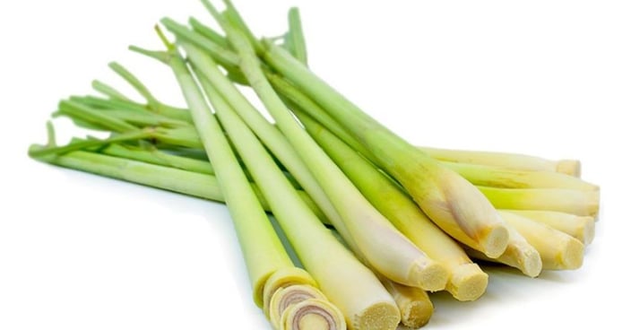 Fresh Lemon Grass , Xả cây UpBe Food VN 