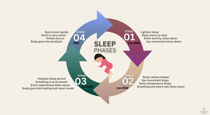 Illustration of sleep cycle and body healing during deep sleep