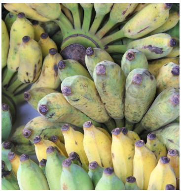 Fresh Banana, Nải chuối UpBe Food VN 