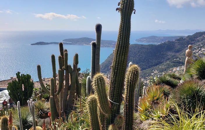 plants growing in the southern part of Eze Garden