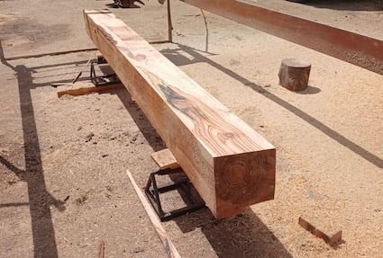 Off saw pine pines pinaster beam