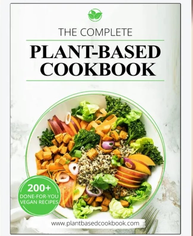vegan meals