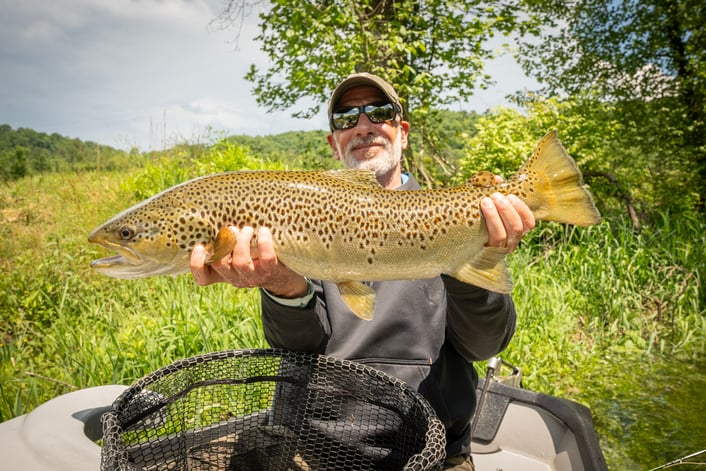 27" Brown Trout May 2025