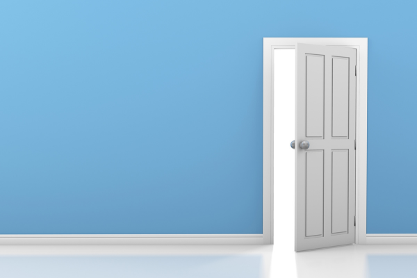 UPVC Panel Door Design