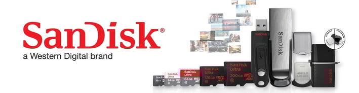 SanDisk Product Family Pen Drive, Flash drive, Memory Cards
