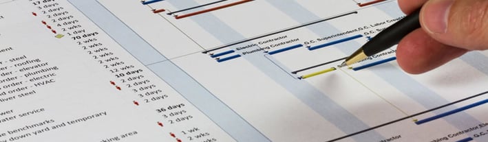 Primavera Scheduling Services