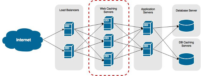 estaflow web development