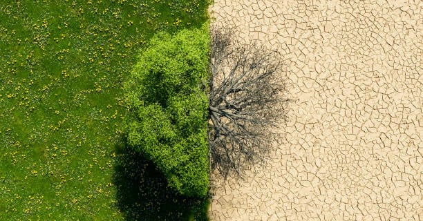 Environmental toll