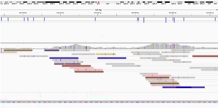 Discordant Reads visualized in IGV