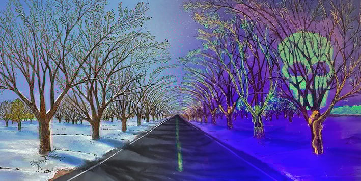 Winter View (Bicameral Collection) by New Mexico Artist John Dick-Peddie