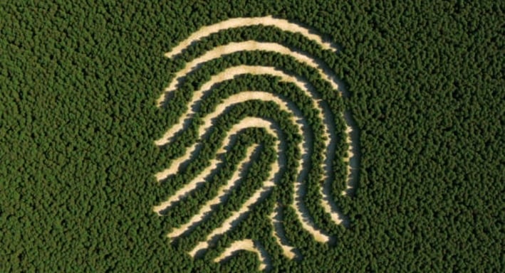 Huella digital en un bosque refiriéndose al impacto ambiental del humano