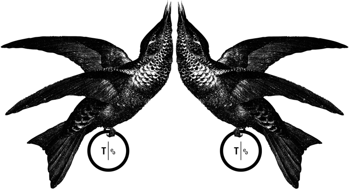 Zwei Vögelchen aus dem THESING2e-Logo sind Schmuckelement
