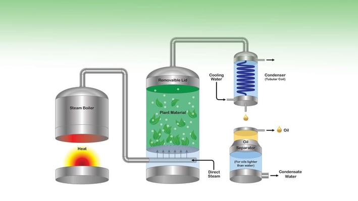 a diagram of a gas stovetop stovetop