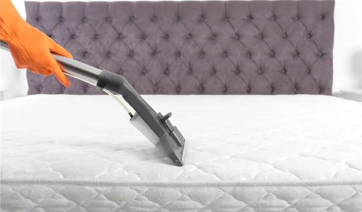 allergènes acariens matelas