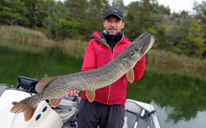 En fiskare är på en båt i Sverige och håller i en stor gädda tack vare fishing escape sweden..