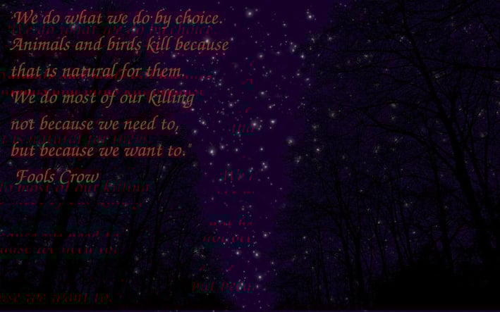 a saying by Fools Crow written on a night sky full of stars and the silhouette of trees
