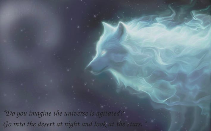 a white wolf with a quote about tranqulity