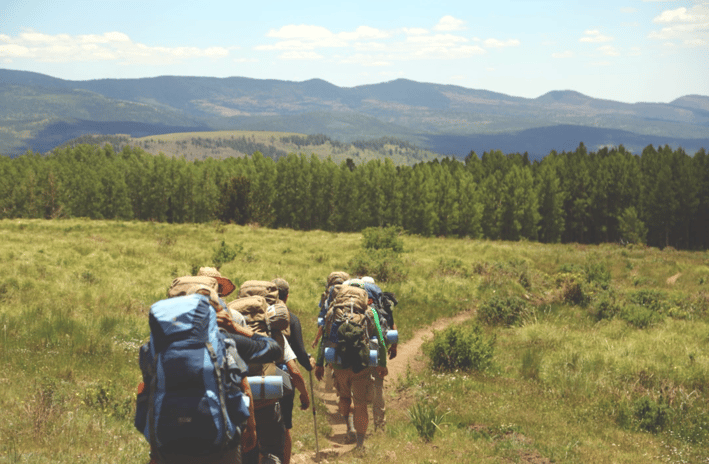 group of people walking on pathway between green grass background of tree