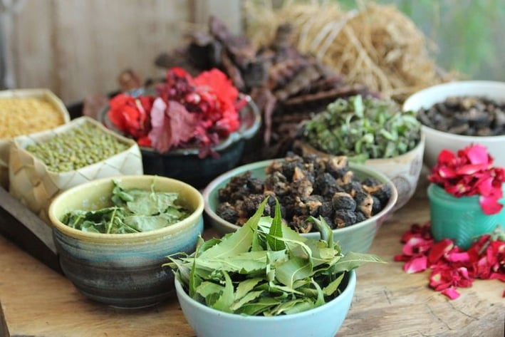 a variety of different types of herbs used for hair care