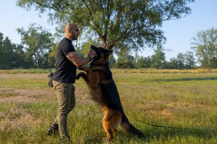 Hundetrainer aus Bremen beim Einzeltraining