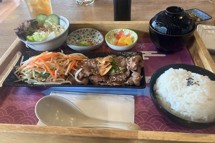 Japanese Teriyaki Plate 