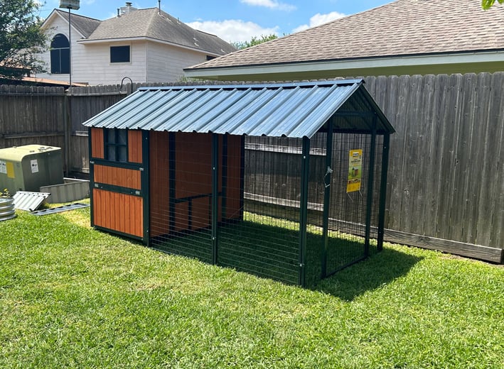 Chicken Coop