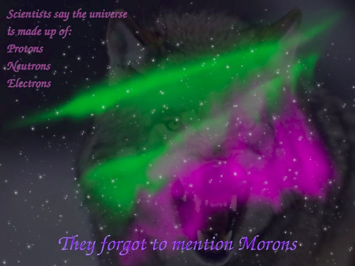 a wolf with a green and purple light shining through a sky of stars