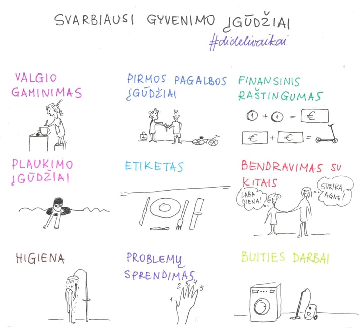 svarbiausių įgūdžių schema