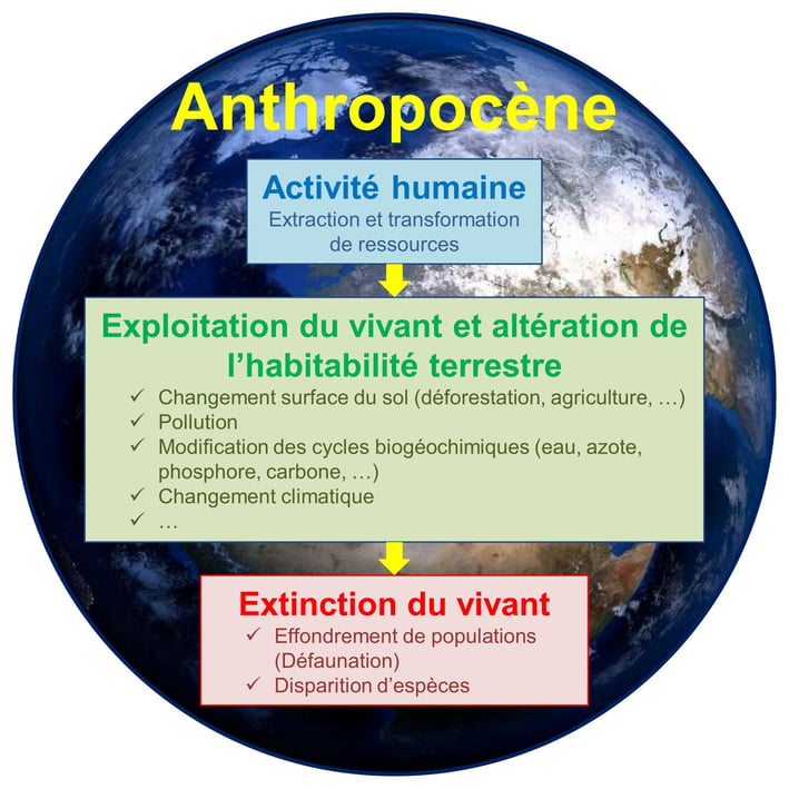 Définition de l'Anthropocène en image : l'activité humaine provoque une extinction de la vie